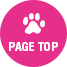 pagetopへ