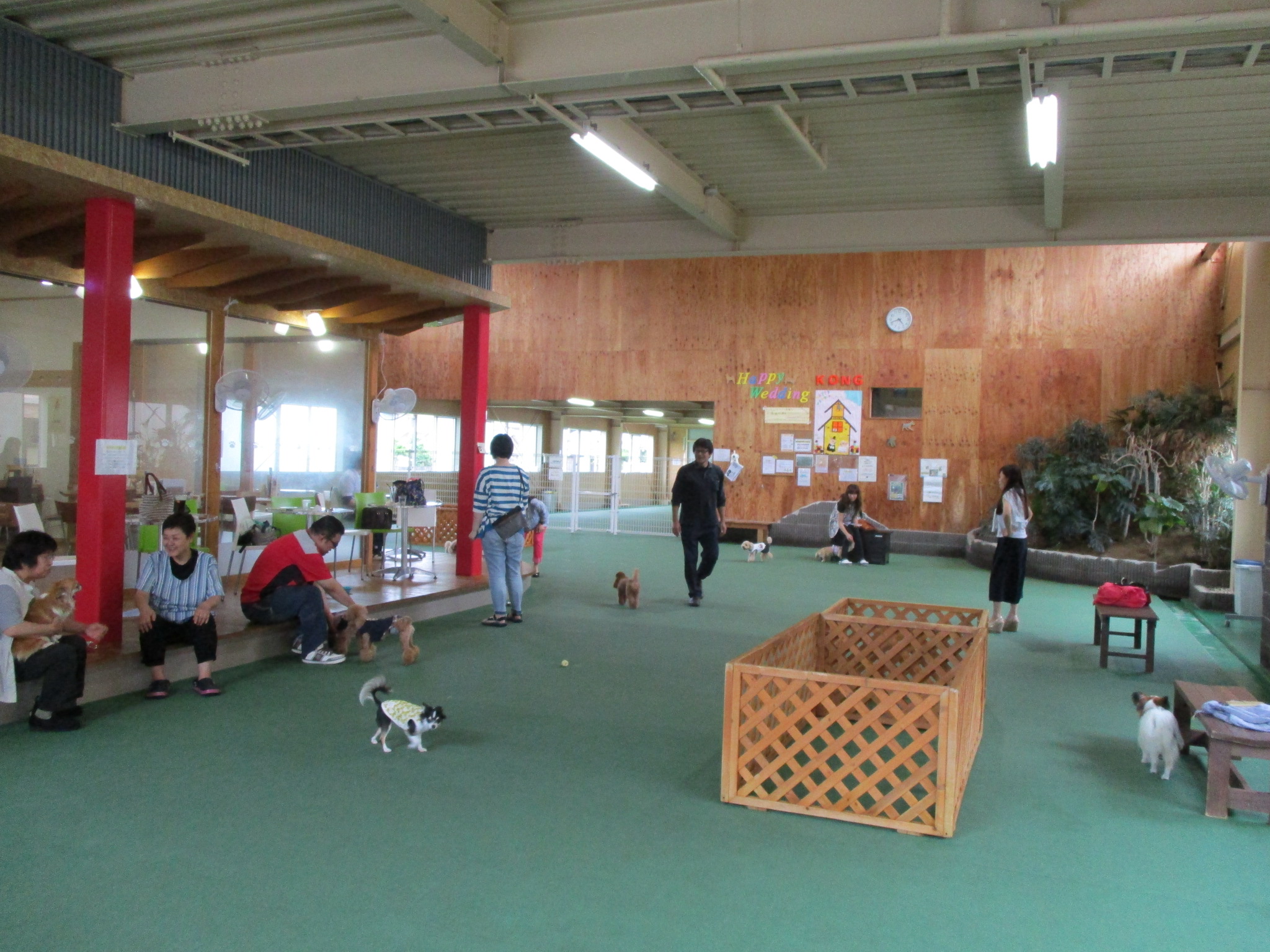 新潟 犬 と 遊べる 場所